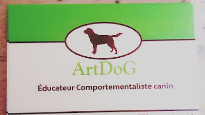 Eduacteur dressage Comportementalise Canin Pierre ArtDoG à Yolet