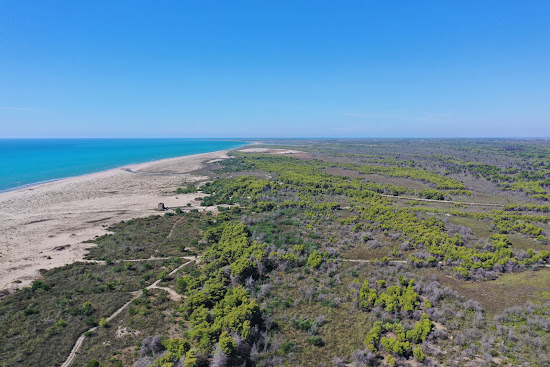 Hidrovor beach