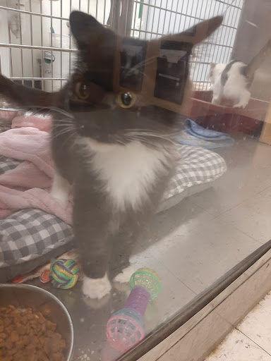 Pet Supply Store «PetSmart», reviews and photos, 67 Consumer Square, Plattsburgh, NY 12901, USA