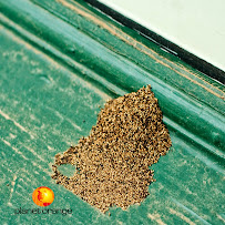 Planet Orange - Photo 9 - Car repair in San Jose, CA, San Jose