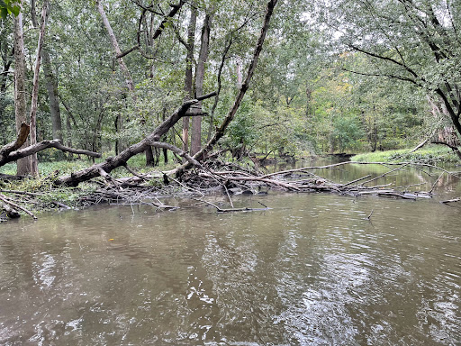 Nature Preserve «Harms Woods», reviews and photos, Harms Rd, Glenview, IL 60025, USA