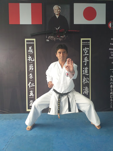 Karate Castañeda Dojo