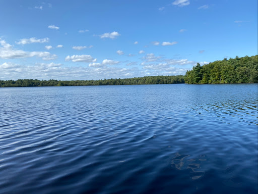 Art Museum «deCordova Sculpture Park and Museum», reviews and photos, 51 Sandy Pond Rd, Lincoln, MA 01773, USA