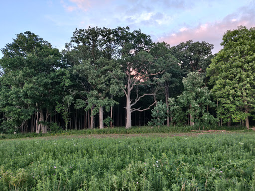 Nature Preserve «Hickory Creek Preserve», reviews and photos, Wolf Rd, Mokena, IL 60448, USA