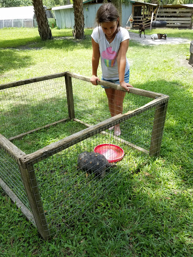 Animal Rescue Service «Nanny’s Educational Zoo And Rescue», reviews and photos, 1139 Livingston Rd, Lutz, FL 33559, USA