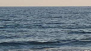 Photo n°93 de Pampa Plage à La Grande-Motte ()