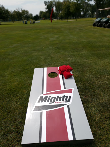 Golf Course «Dundee Golf Club», reviews and photos, 13851 S Custer Rd, Dundee, MI 48131, USA