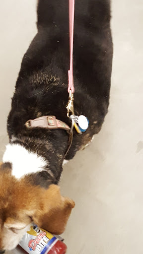 Pet Supply Store «PetSmart», reviews and photos, 650 Commerce Blvd, Scranton, PA 18519, USA