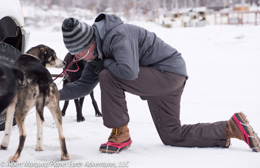 Animal Hospital «For the Love of Pets Veterinary Hospital», reviews and photos, 561 Idaho Maryland Rd, Grass Valley, CA 95945, USA