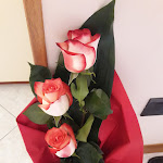 Photo n°2 de l'avis de Mia.e fait le 01/07/2023 à 05:26 sur le  Trattoria Vecio Balilla à Isola della Scala