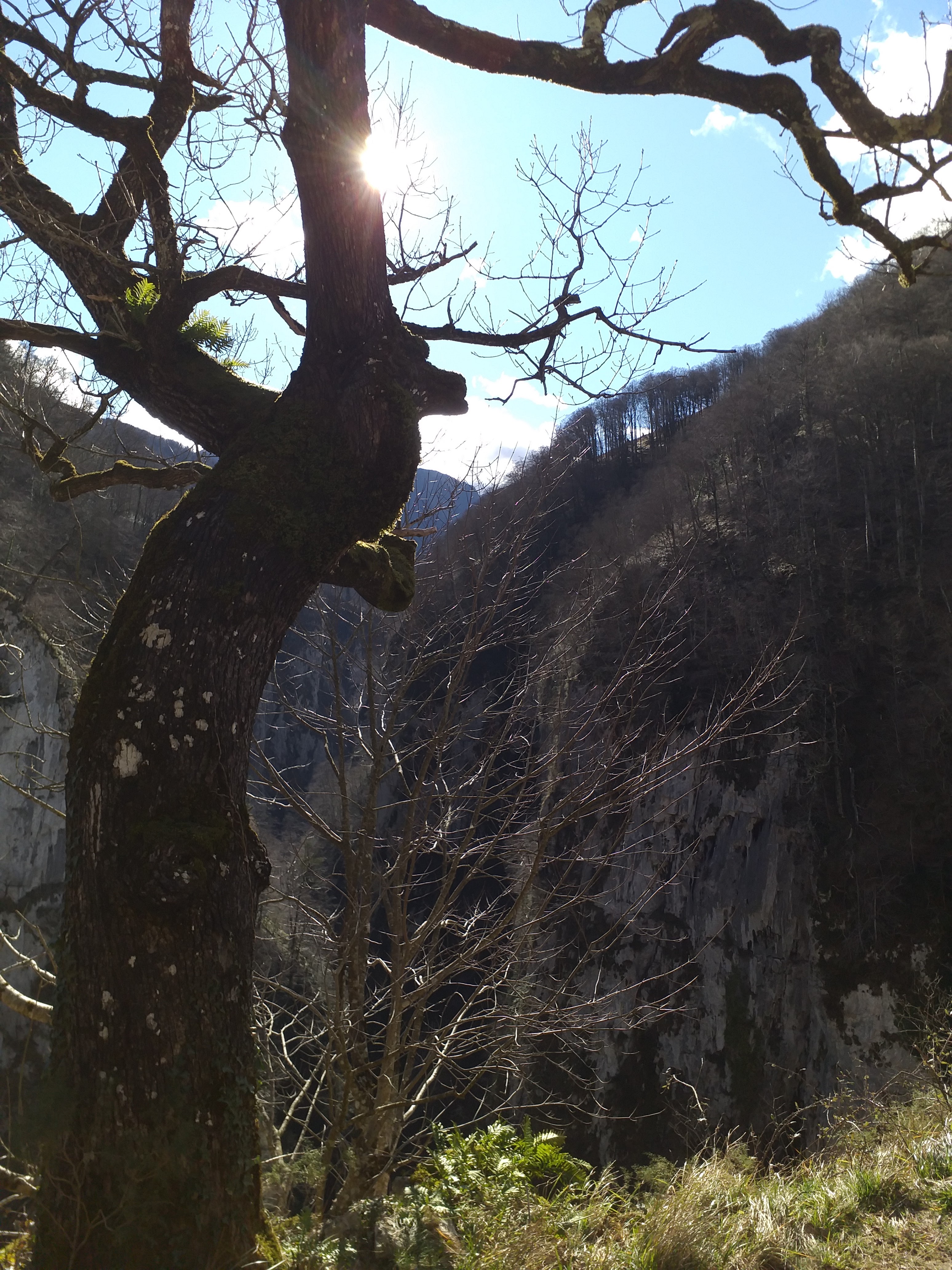 Photo n° 4 de l'avis de Jean.a fait le 31/01/2020 à 16:17