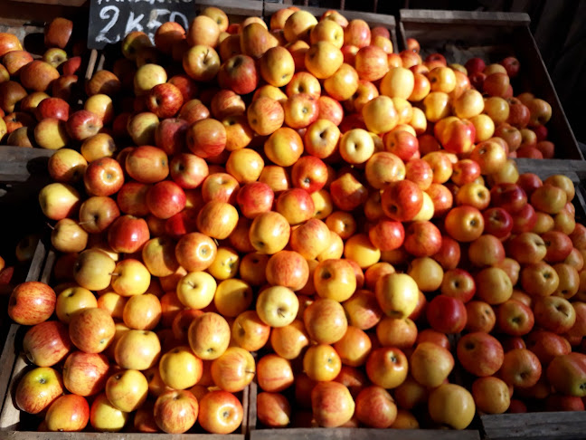 Opiniones de Frutas Y Verduras Cyc en Paso Carrasco - Tienda de ultramarinos