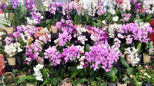 Grocery Store «Grocery Outlet Bargain Market», reviews and photos, 1124 3rd St, Crescent City, CA 95531, USA