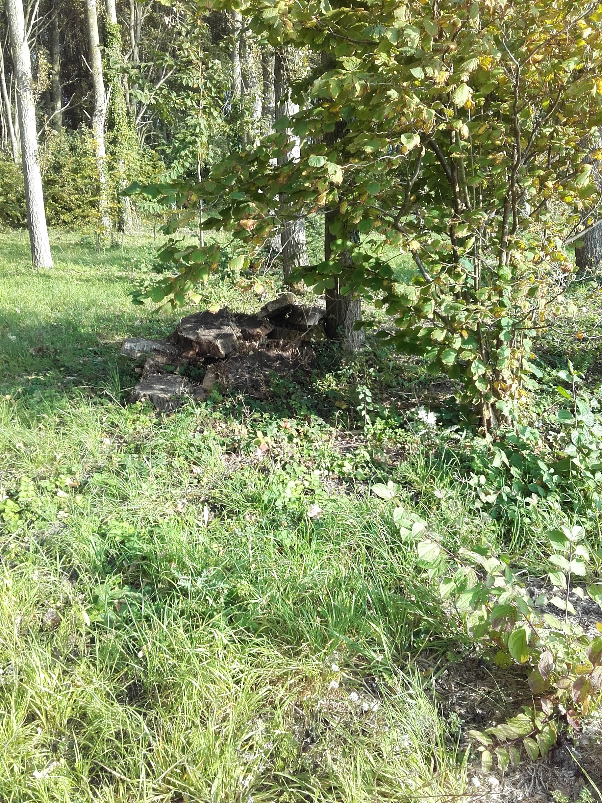 Photo n° 1 de l'avis de laurent.a fait le 24/09/2017 à 15:28