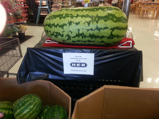 Grocery Store «H-E-B Grocery», reviews and photos, 101 S Clay St, Ennis, TX 75119, USA