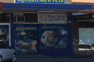 New Life Aquarium And Pets Bulleen image
