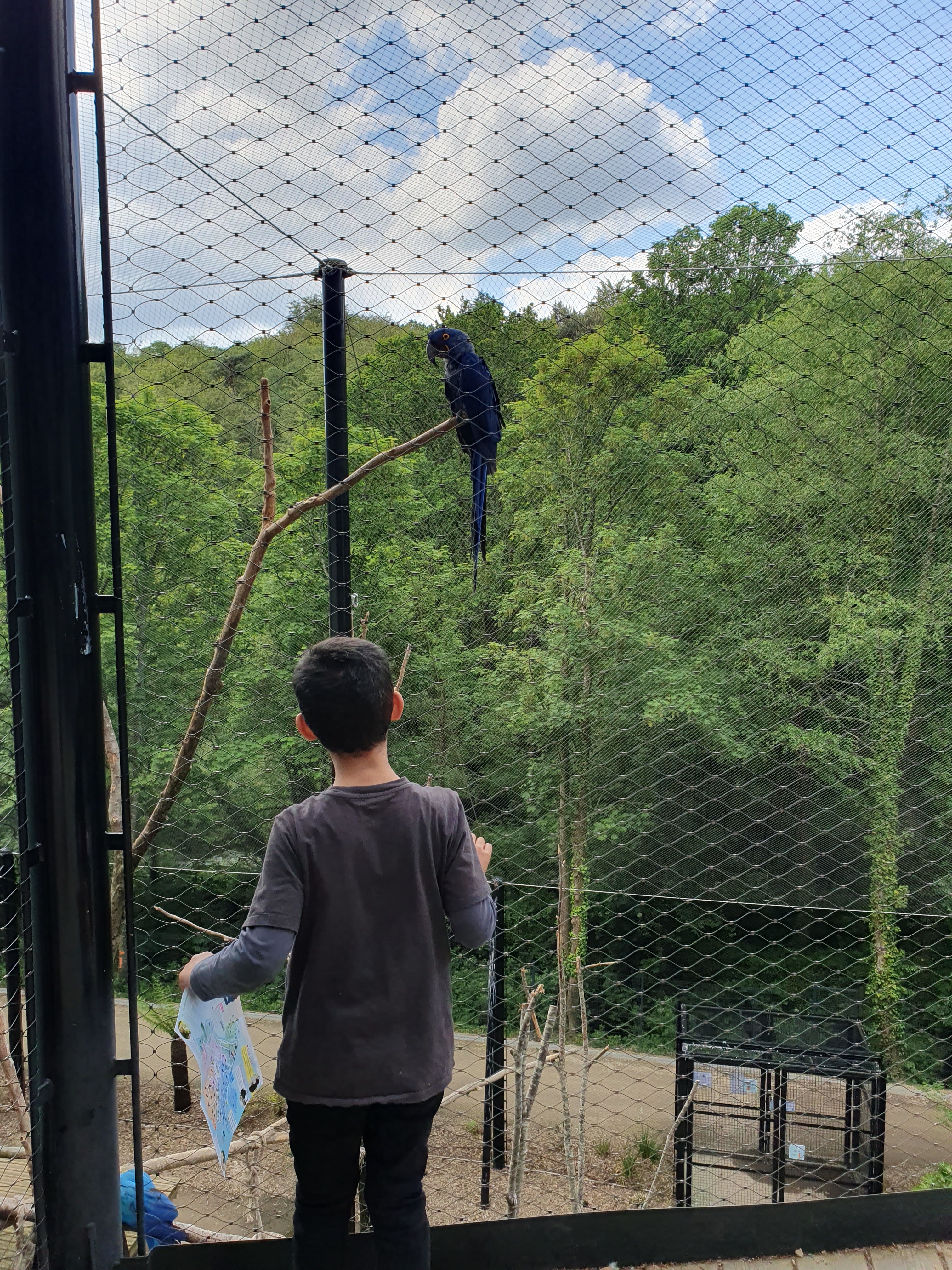 Photo n° 2 de l'avis de Heianui.a fait le 17/05/2023 à 16:14