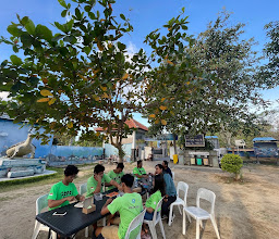 Turtle Conservation And Education Center photo