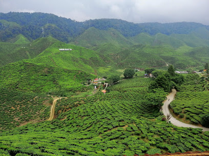 Bharat Tea Plantations Sdn. Bhd.