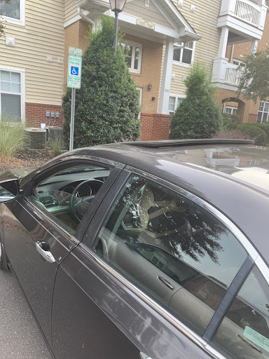 Insurance Agency «AAA - Ballantyne», reviews and photos