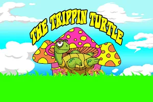 The Trippin Turtle - South County Mall image