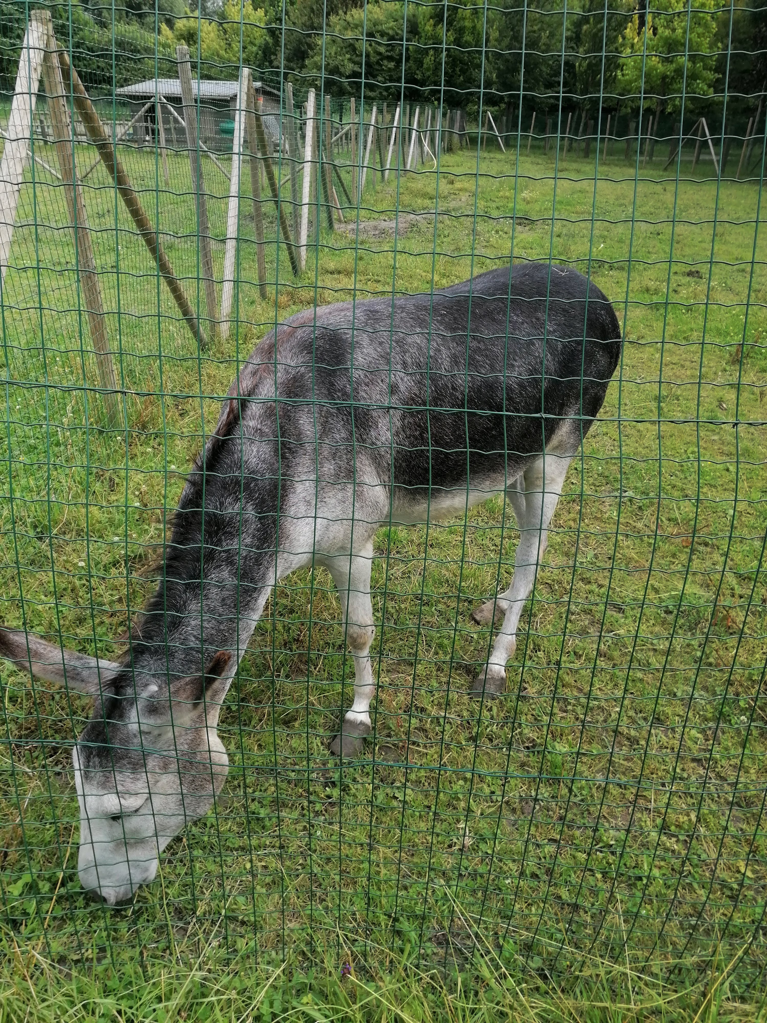 Photo n° 3 de l'avis de Caro.a fait le 14/07/2021 à 18:12