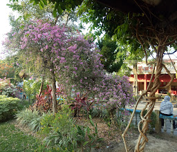 Parks Wiluyo Puspo Yudho photo