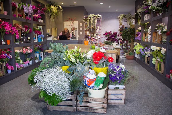 Floristería Atrezo Granada