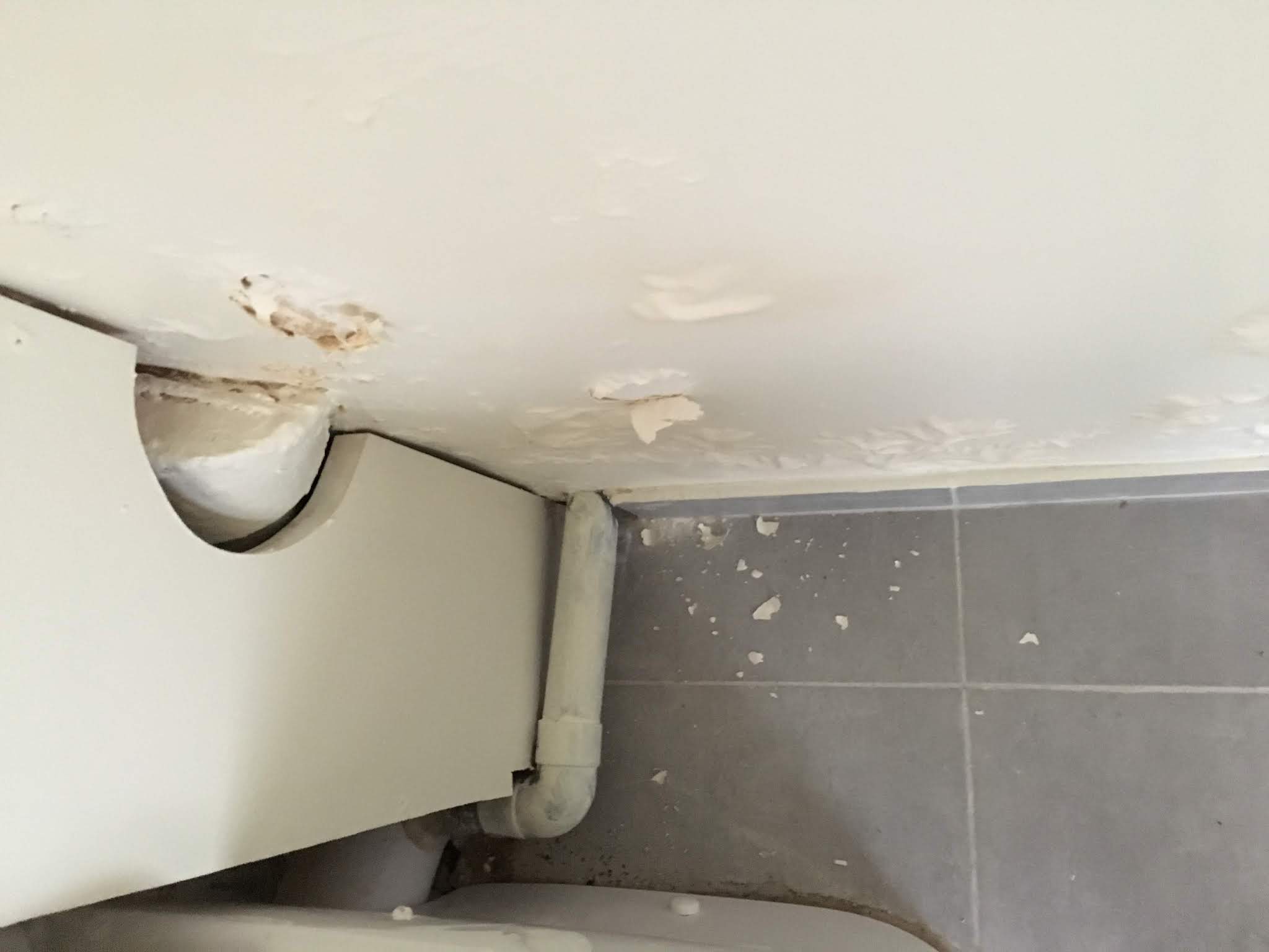 Photo n° 11 de l'avis de Eddine.o fait le 27/03/2019 à 07:25