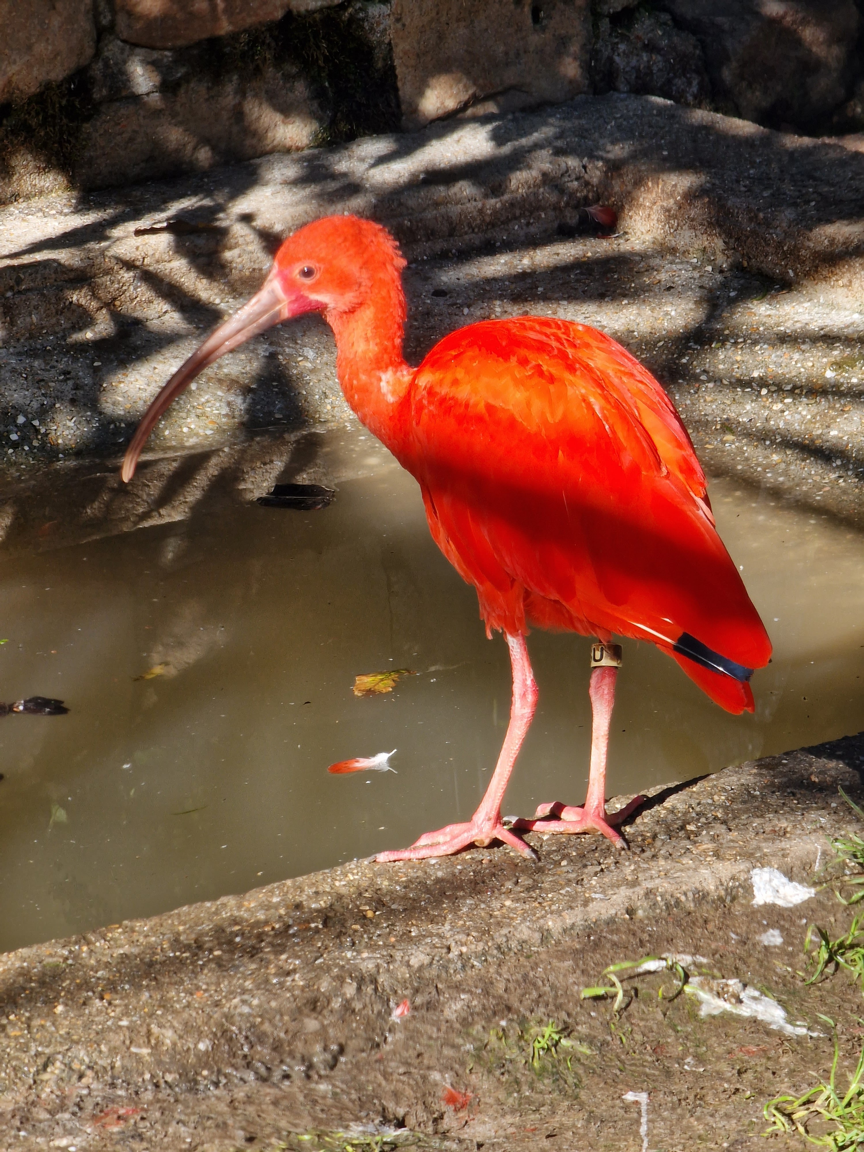 Photo n° 3 de l'avis de Brice.s fait le 19/10/2022 à 16:34