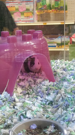 Pet Supply Store «PetSmart», reviews and photos, 5214 Blanche Moore Dr, Corpus Christi, TX 78411, USA