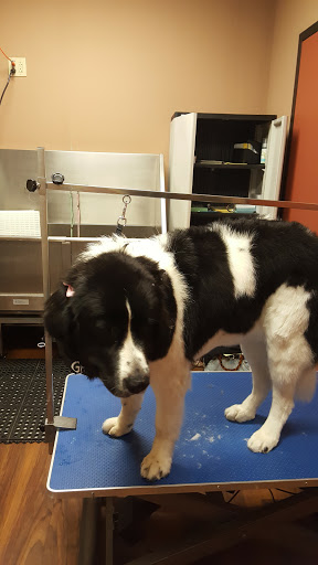 Pet Store «Pet Valu», reviews and photos, 2645 Shillington Rd, Sinking Spring, PA 19608, USA