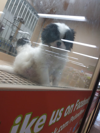 Pet Store «Petland», reviews and photos, 1600 Turner McCall Blvd, Rome, GA 30161, USA