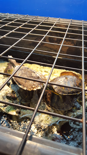 Pet Supply Store «Petco Animal Supplies», reviews and photos, 5975 20th St, Vero Beach, FL 32966, USA