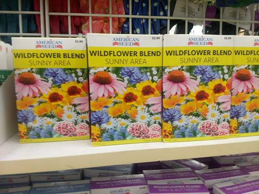 Dollar Store «Dollar Tree», reviews and photos, 4322 W Elm St, McHenry, IL 60050, USA