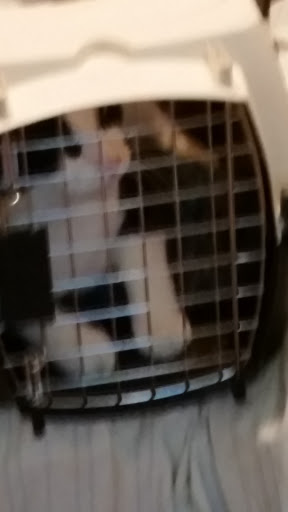 Pet Supply Store «Pet Expo Distributors», reviews and photos, 1800 Adams St, Mankato, MN 56001, USA