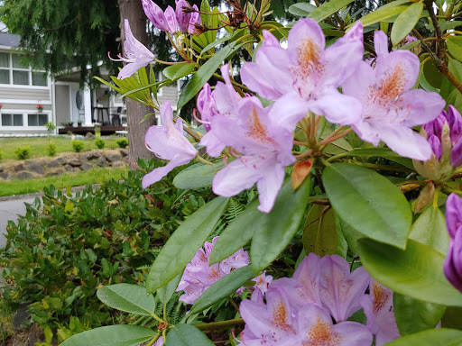 Grocery Store «Valley Harvest», reviews and photos, 28855 Military Rd S, Federal Way, WA 98003, USA