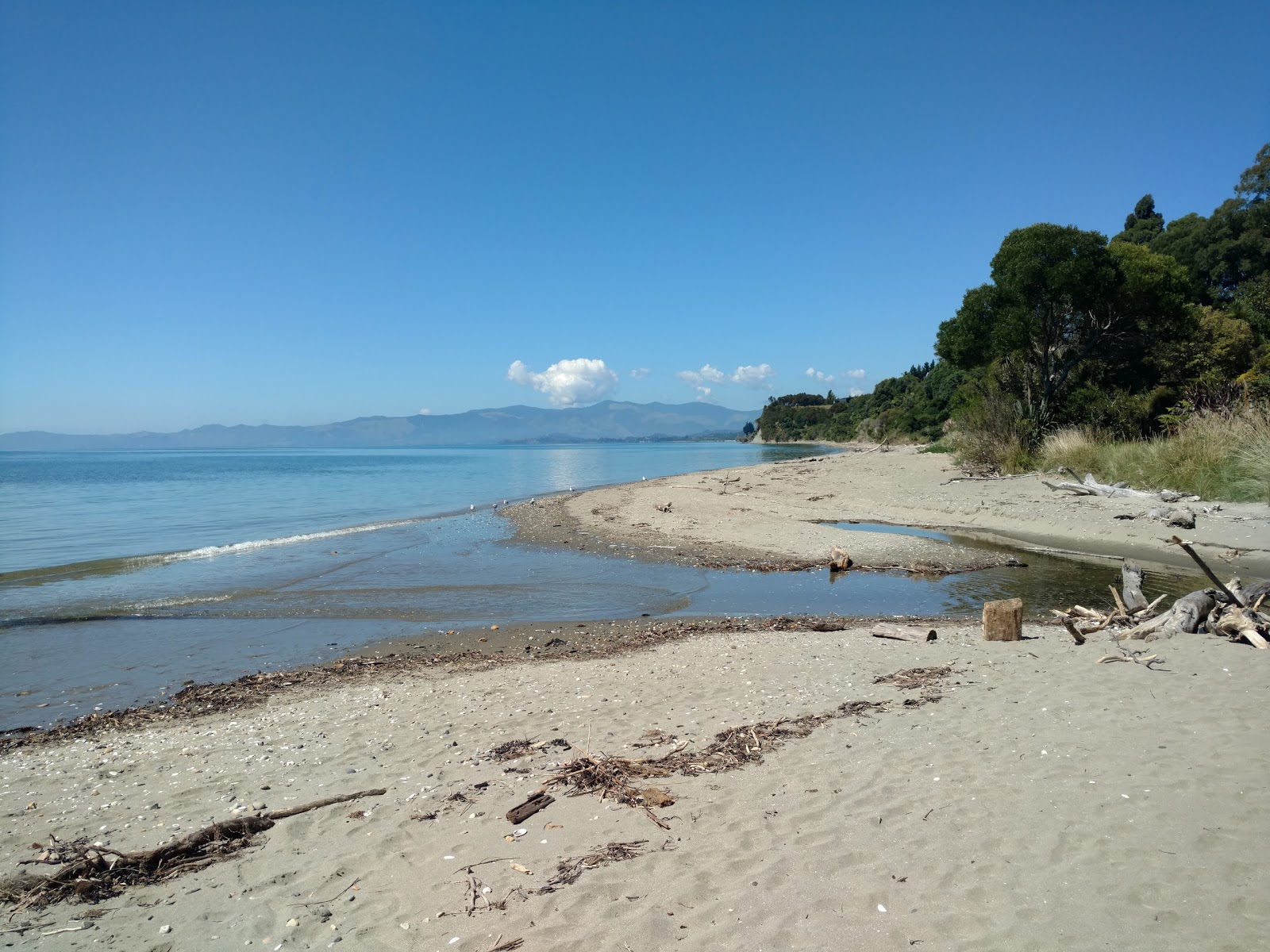 Foto von Golden Bay Beach von Klippen umgeben