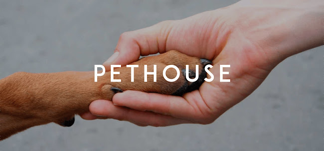 Értékelések erről a helyről: Pethouse Webshop, Berettyóújfalu - Ruhabolt