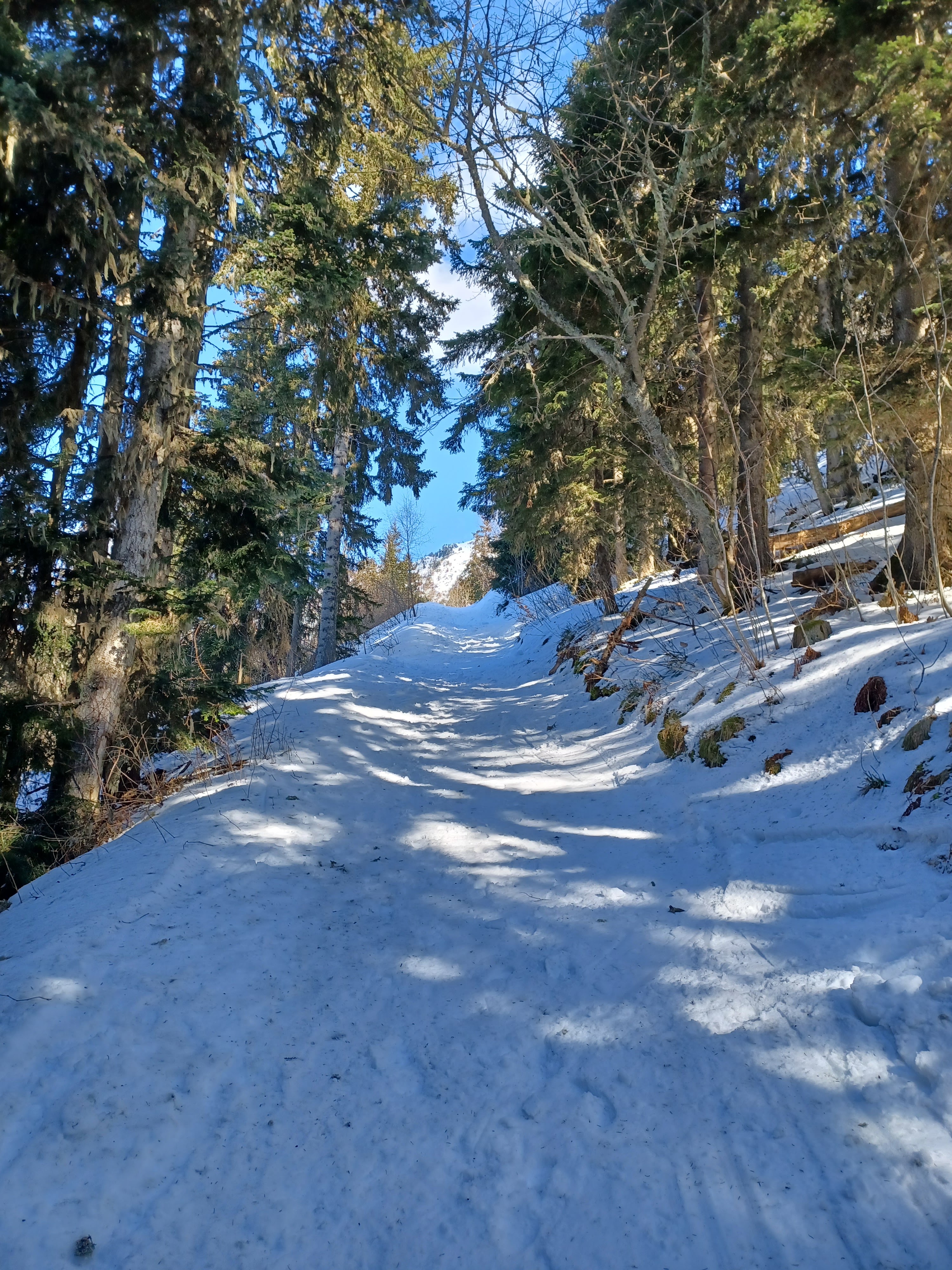 Photo n° 3 de l'avis de Françoise.u fait le 19/03/2022 à 18:44
