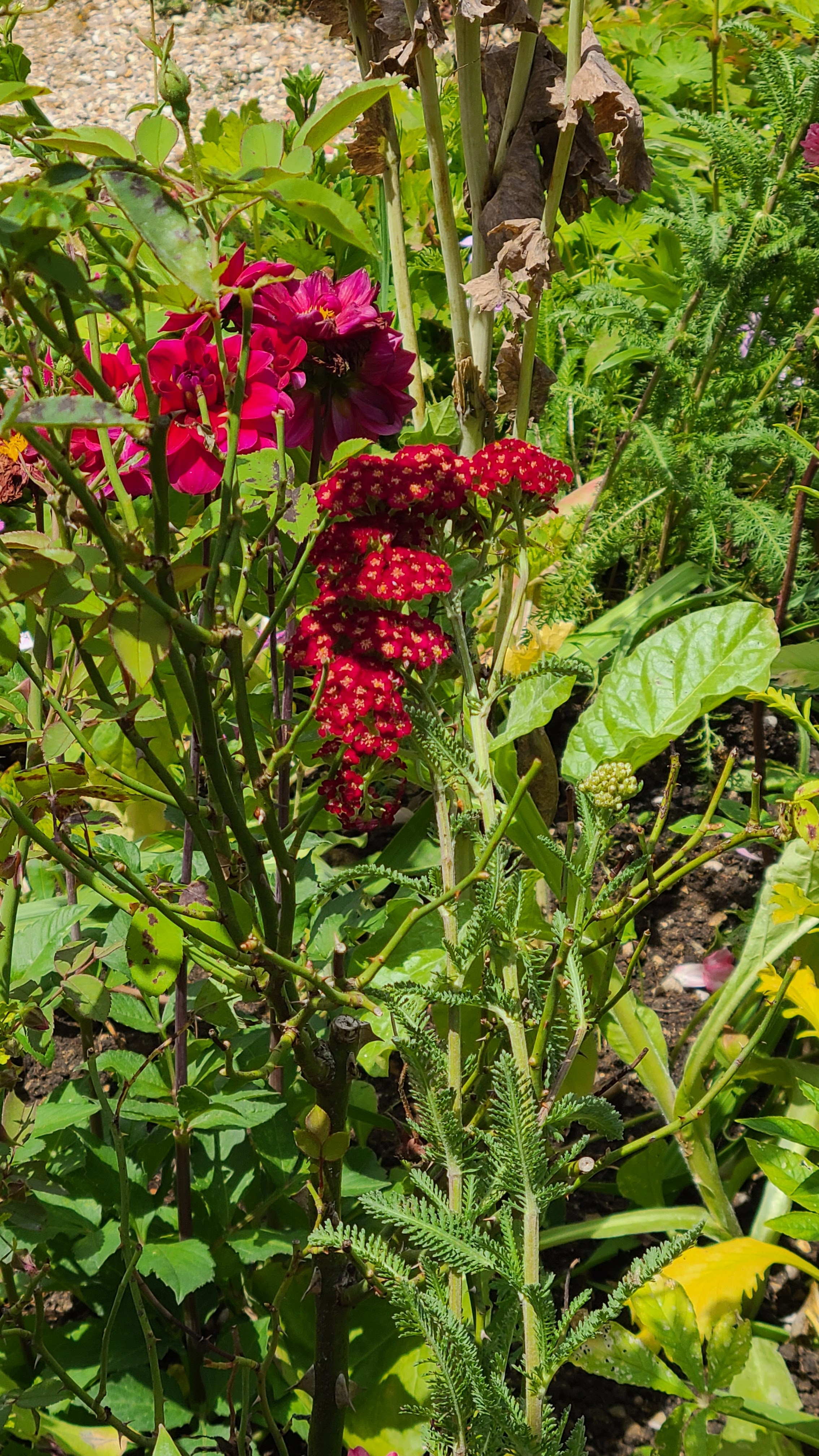 Photo n° 2 de l'avis de Claudia.r fait le 13/07/2023 à 09:22