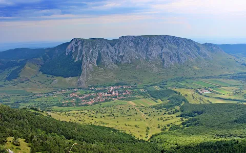 Piatra Secuiului image