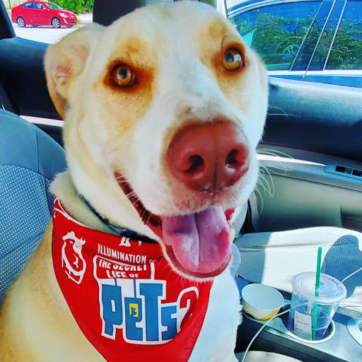 Pet Supply Store «Petco Animal Supplies», reviews and photos, 200 Center Blvd S, Christiana, DE 19702, USA