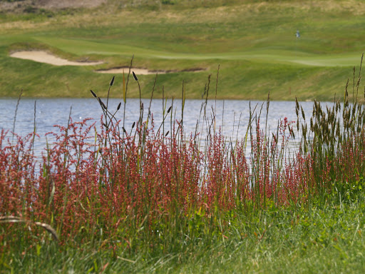 Golf Club «Crestview Golf Club», reviews and photos, 1680 S Crestline Dr, Waldport, OR 97394, USA