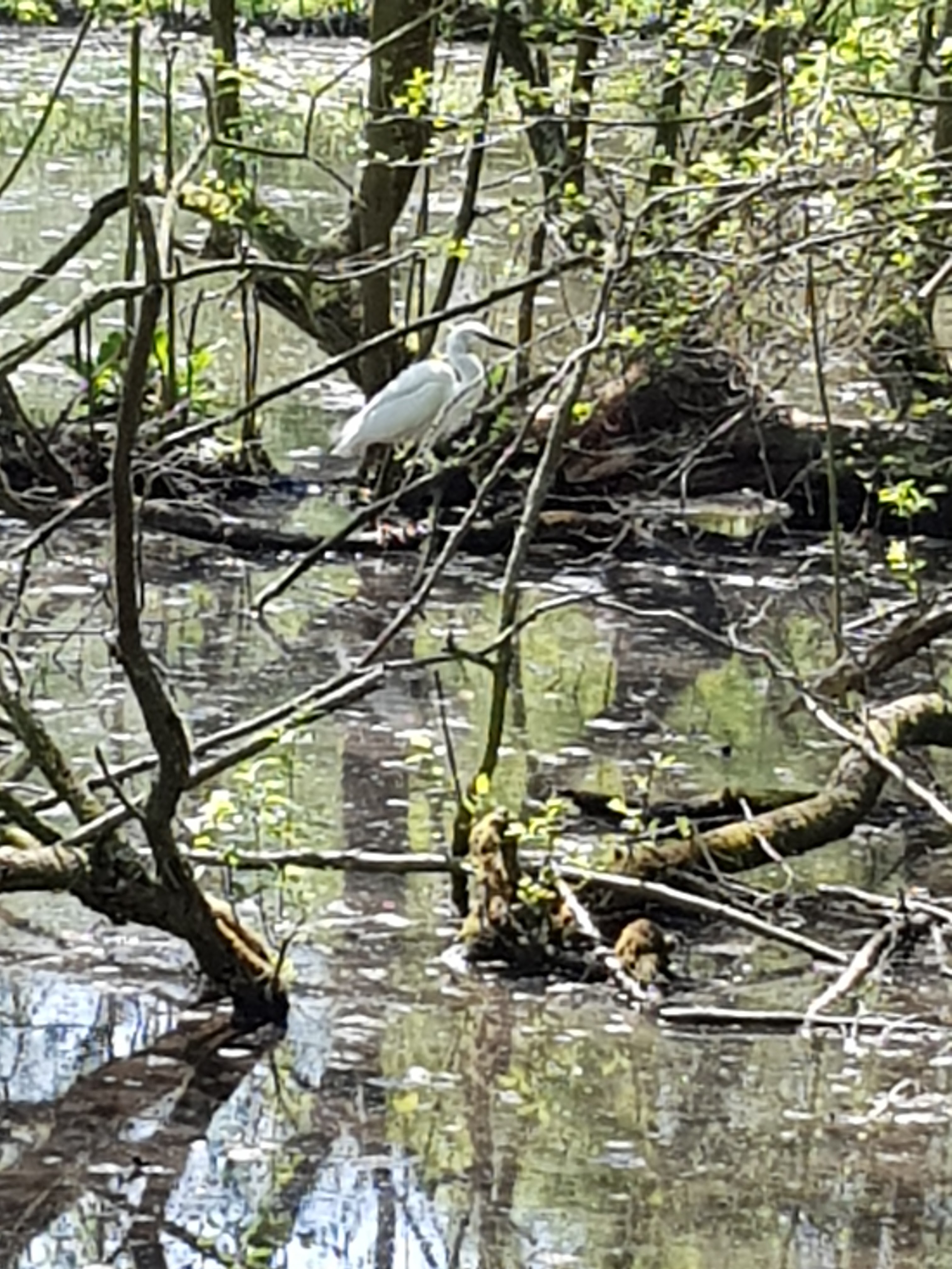 Photo n° 1 de l'avis de Béatrice.o fait le 06/05/2019 à 15:02
