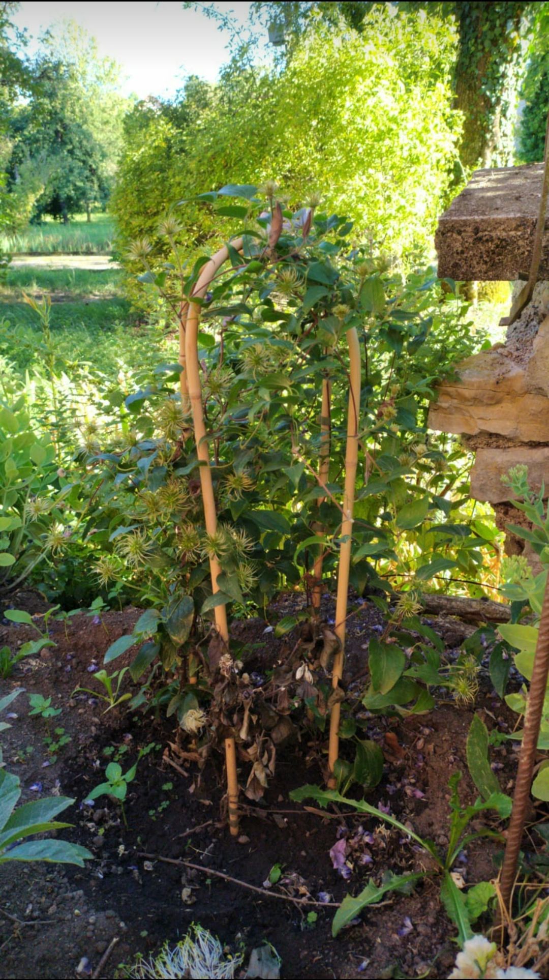 Photo n° 2 de l'avis de Clarisse. fait le 07/08/2020 à 15:47