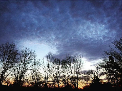 Gym «Intoxx Fitness - Oakwood», reviews and photos, 3295 Amboy Rd, Staten Island, NY 10306, USA