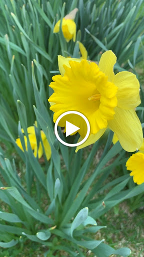 Bar «The Shop», reviews and photos, 219 Washington St, Binghamton, NY 13901, USA