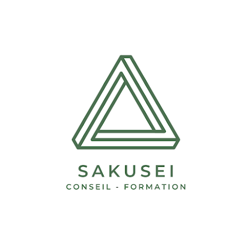 Sakusei - Conseil et Formation - Benjamin Bourel à Nantes