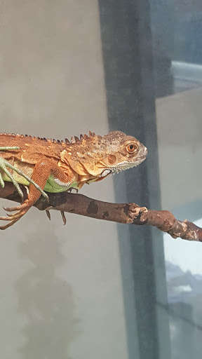 Pet Supply Store «Petco Animal Supplies», reviews and photos, 3424 W Shore Dr, Holland, MI 49424, USA